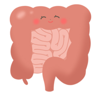 大腸カメラ検査は痛みがある？