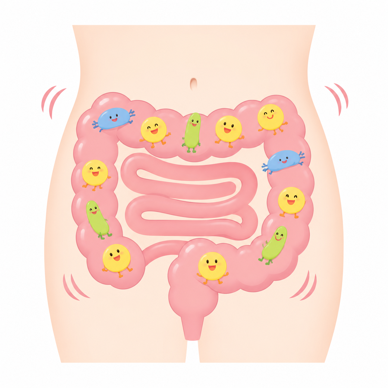 腸内菌のイラスト
